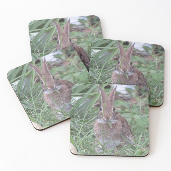 Item preview, Backyard Friends designed and sold by Chel Summers .