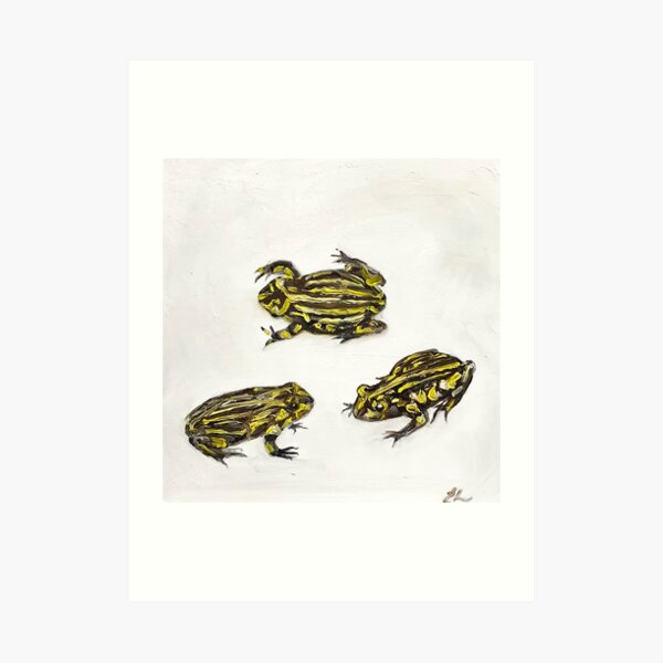 Corroboree Frogs Art Print