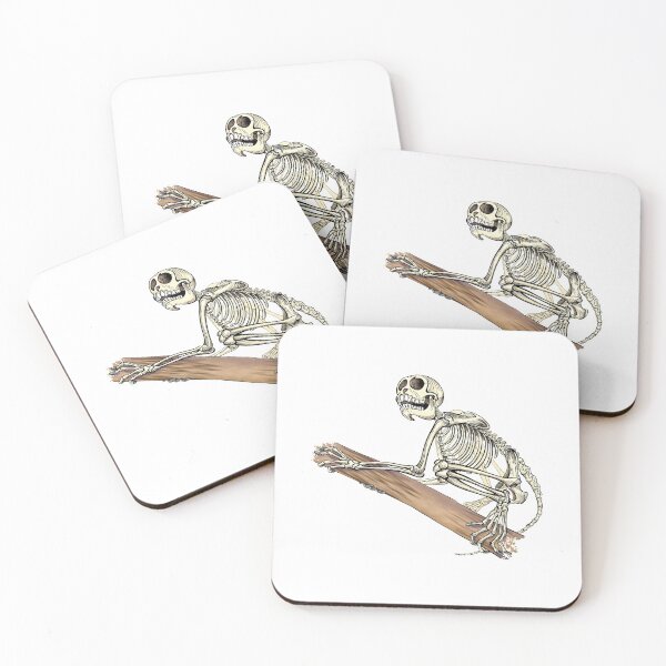 Item preview, Monkey Skeleton - Scientific Illustration Pen and Ink with Digital Watercolor designed and sold by Zit-Zat-Zot.