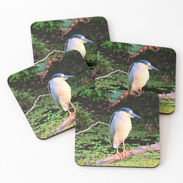 Item preview, Young Night Heron designed and sold by Chel Summers .