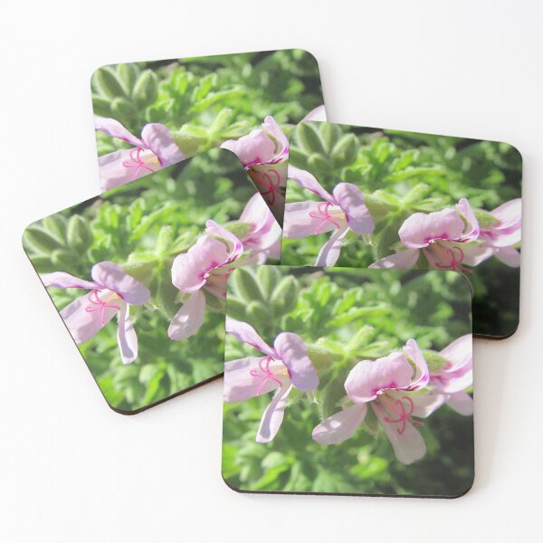 Item preview, Geranium designed and sold by Dee121.