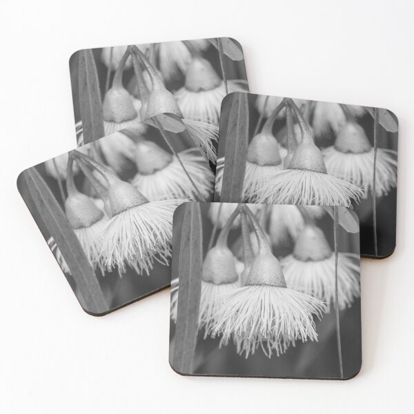 Item preview, Eucalyptus  designed and sold by Gnangarra.