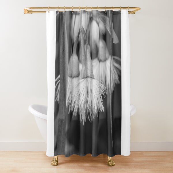 Eucalyptus Shower Curtain