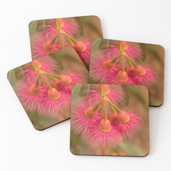 Item preview, red eucalyptus designed and sold by Gnangarra.