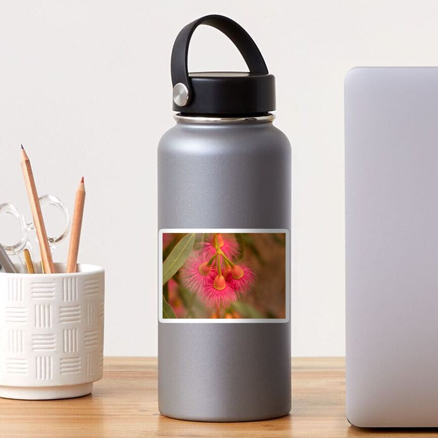 red eucalyptus Sticker