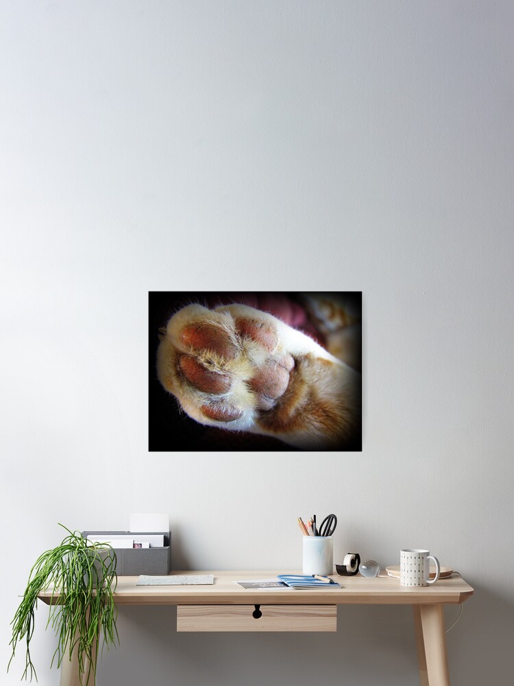 Thumbnail 2 of 3, Poster, Built in Padding designed and sold by trueblvr.