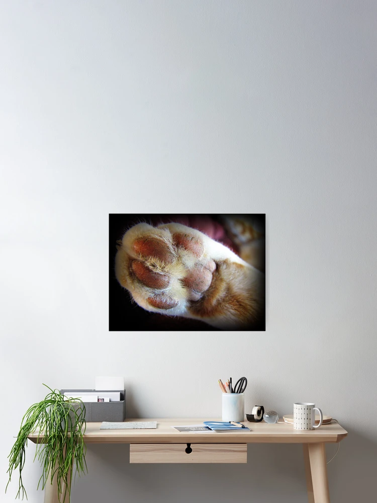 Thumbnail 2 of 3, Poster, Built in Padding designed and sold by Diane Arndt.