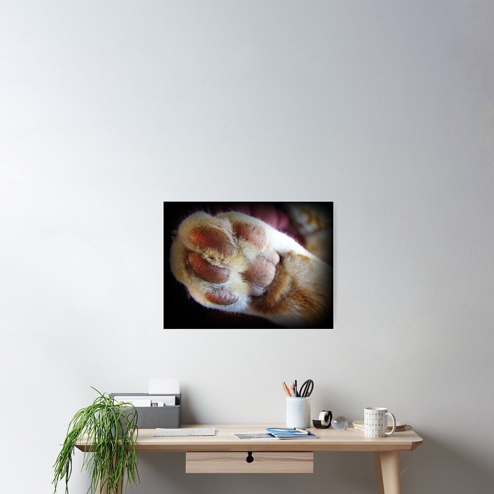 Item preview, Poster designed and sold by trueblvr.