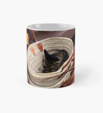 All inclusive Tasse (Standard)