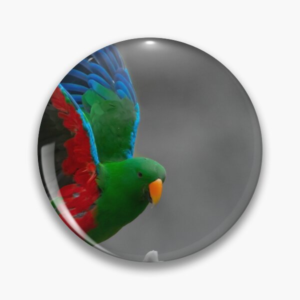 Item preview, Beautiful brightly coloured Eclectus parrot designed and sold by Brian Scantlebury.