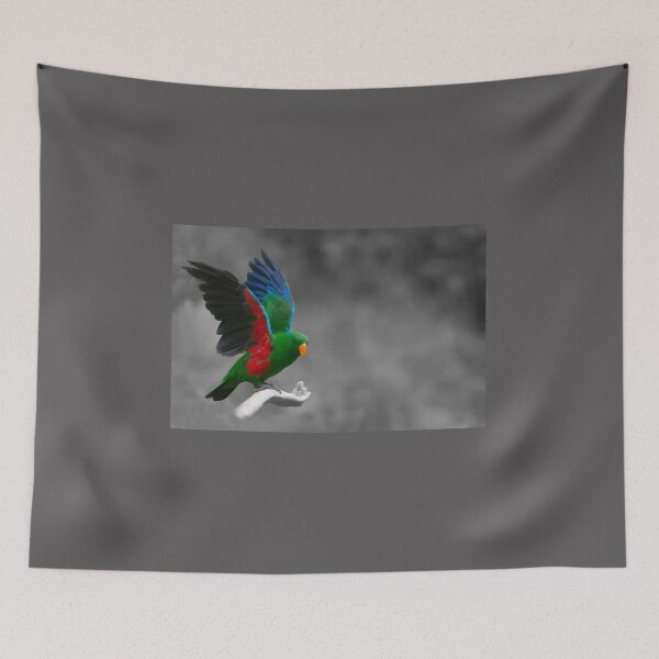 Item preview, Beautiful brightly coloured Eclectus parrot designed and sold by Brian Scantlebury.