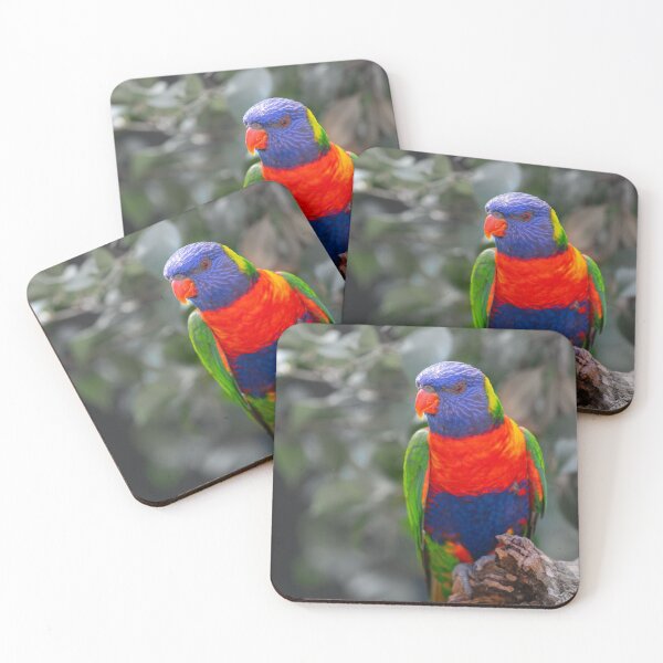 Item preview, Highly colourful rainbow lorikeet on branch designed and sold by Brian Scantlebury.