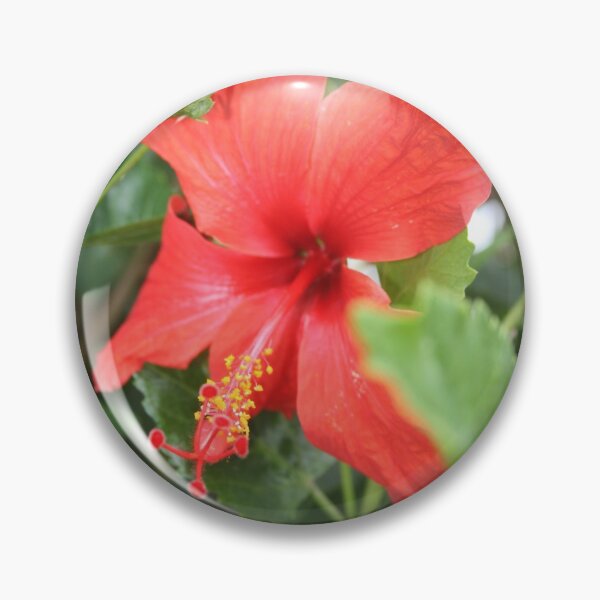 Item preview, Single Hibiscus designed and sold by Jen Hendricks.