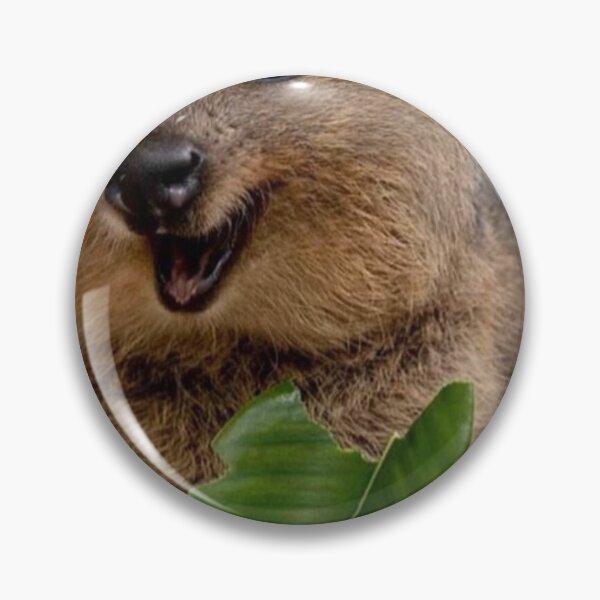 Item preview, Cvocca Quokka designed and sold by Michel11.