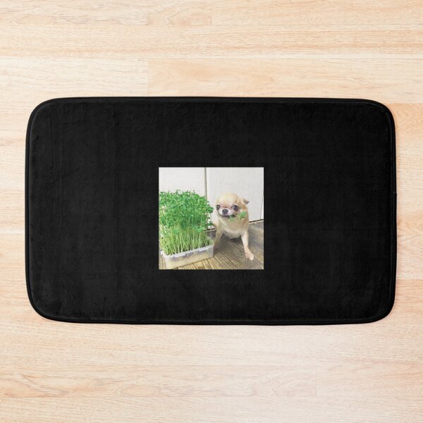 Item preview, chihuahaha designed and sold by meme beast.