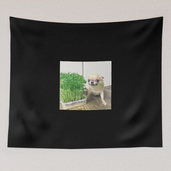 Item preview, chihuahaha designed and sold by meme beast.