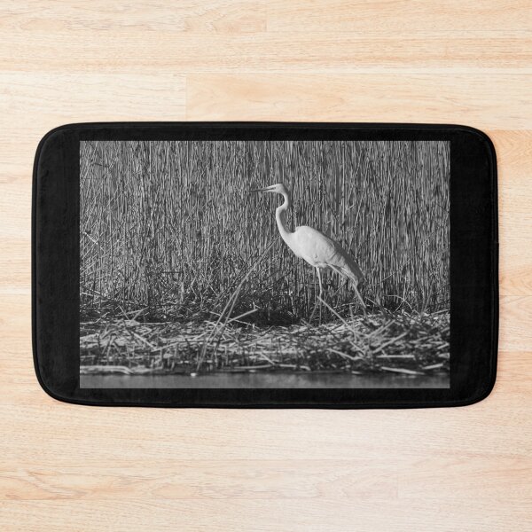 Item preview, The Egyptian pose. Great egret in bw designed and sold by Jouko Lehto Photography.
