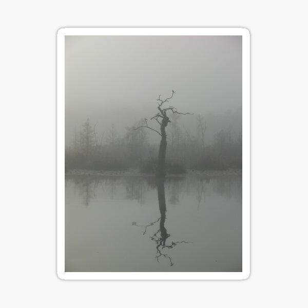 The Bird Tree Sticker