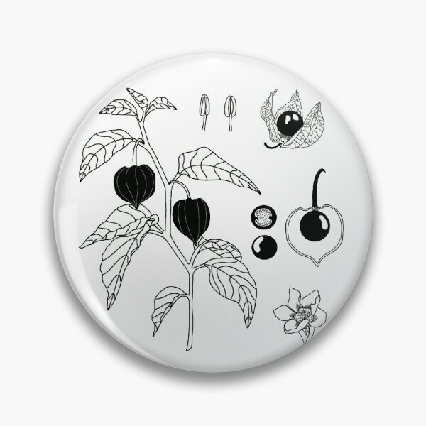 Item preview, Black physalis designed and sold by La Maison de Salem.