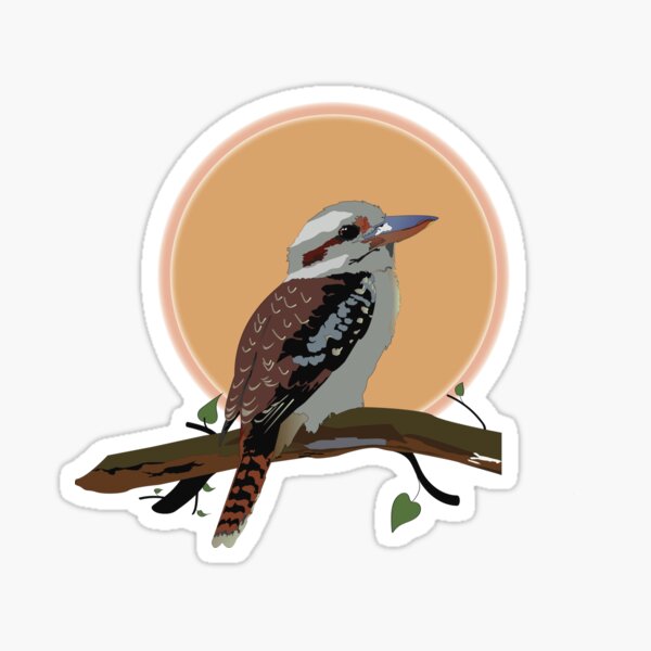  Kookaburra Sticker