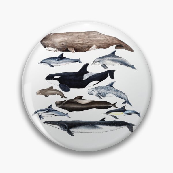 Item preview, Whales, dolphins, orca and sperm whale designed and sold by chloeyzoard.
