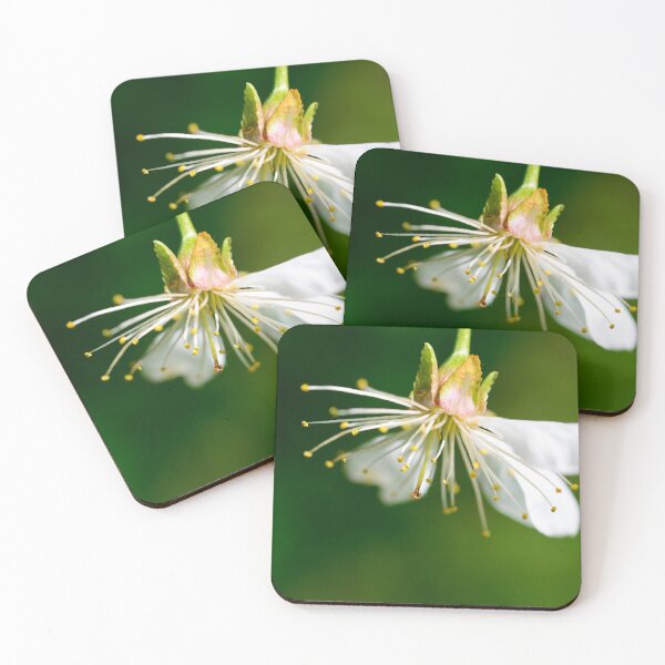 Item preview, sour cherry tree flower designed and sold by tony4urban.