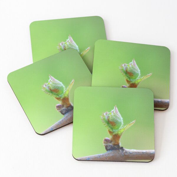 Item preview, vine bud macro designed and sold by tony4urban.