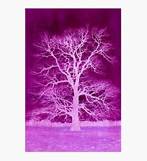 Purple lightning Photographic Print