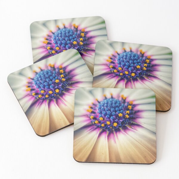 Item preview, African Daisy close up designed and sold by TimConstable.