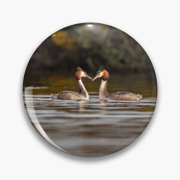 Item preview, GREAT CRESTED GREBE COURTSHIP designed and sold by Andrew Hocking.