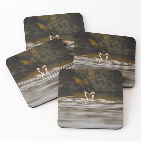 Item preview, GREAT CRESTED GREBE COURTSHIP designed and sold by Andrew Hocking.