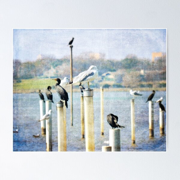 Item preview, Bird Gallery designed and sold by Deborah Downes.