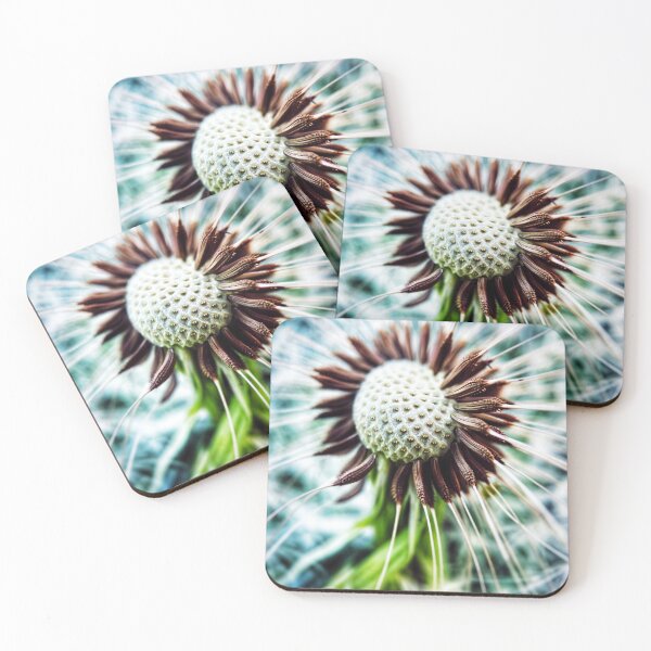 Item preview, Dandelion in seed designed and sold by TimConstable.