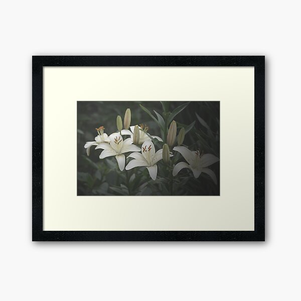 Item preview, Lilies in the mist designed and sold by Halobrianna.
