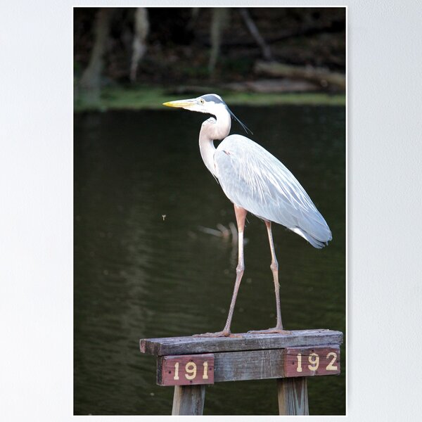 Item preview, Dry Dock designed and sold by Bob Hardy.