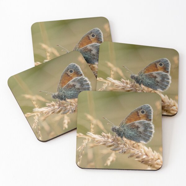 Item preview, Small Heath Butterfly (II) designed and sold by DonMc.