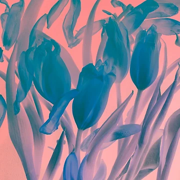 Artwork thumbnail, Abstract 252 by LoraSi