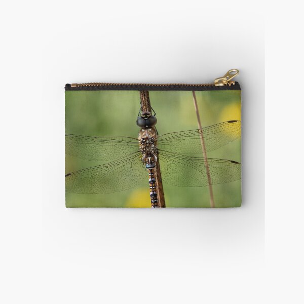 Item preview, Migrant Hawker Dragonfly (III) designed and sold by DonMc.
