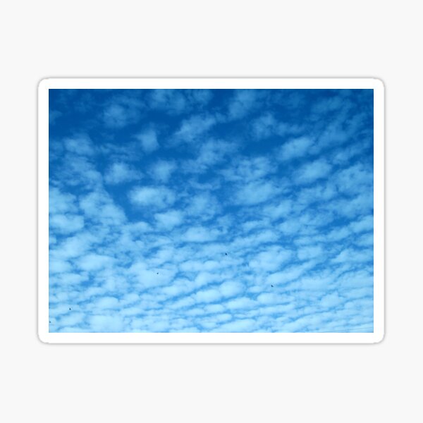 December Sky Sticker
