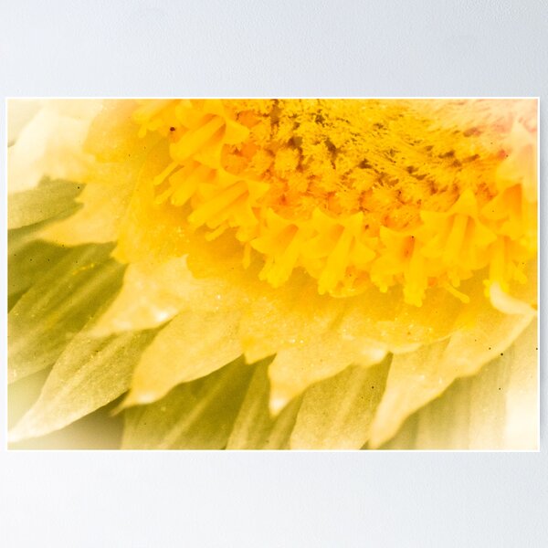 Item preview, Paper Daisy designed and sold by Emma Gilette.