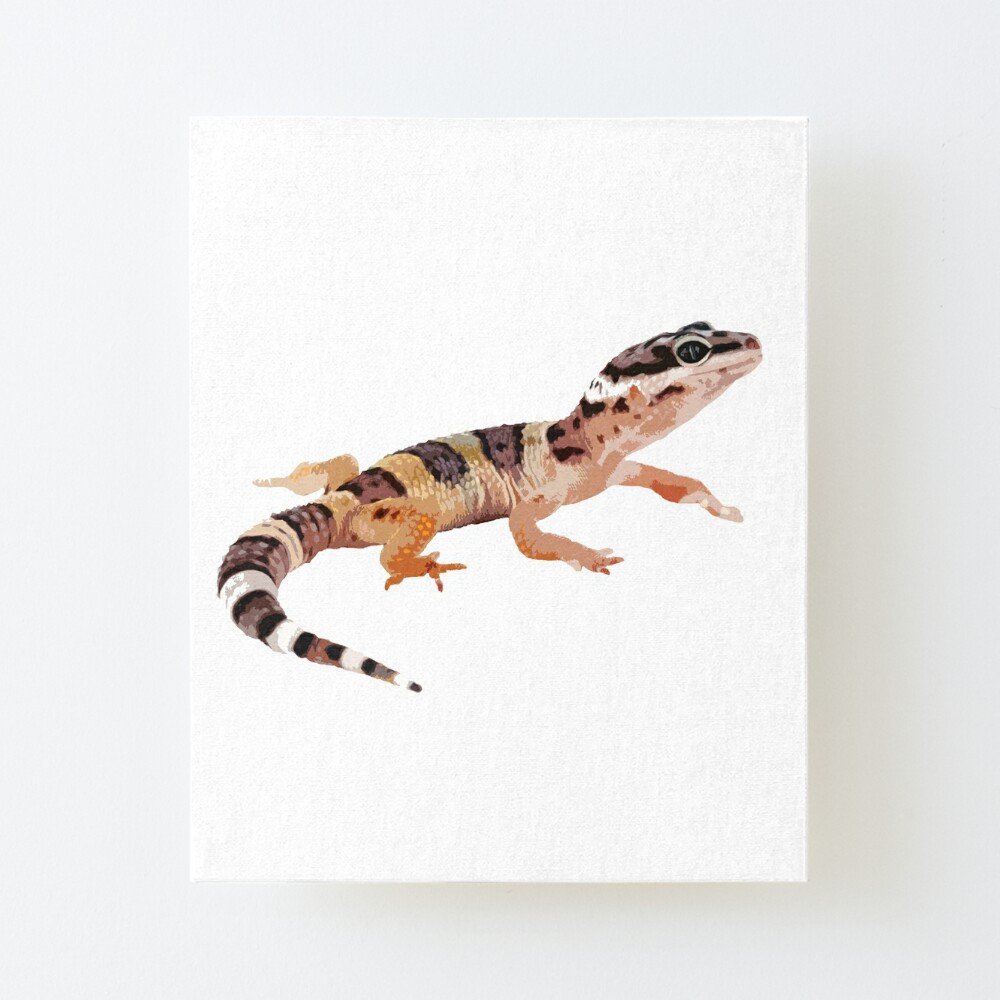 Painted Leopard Gecko