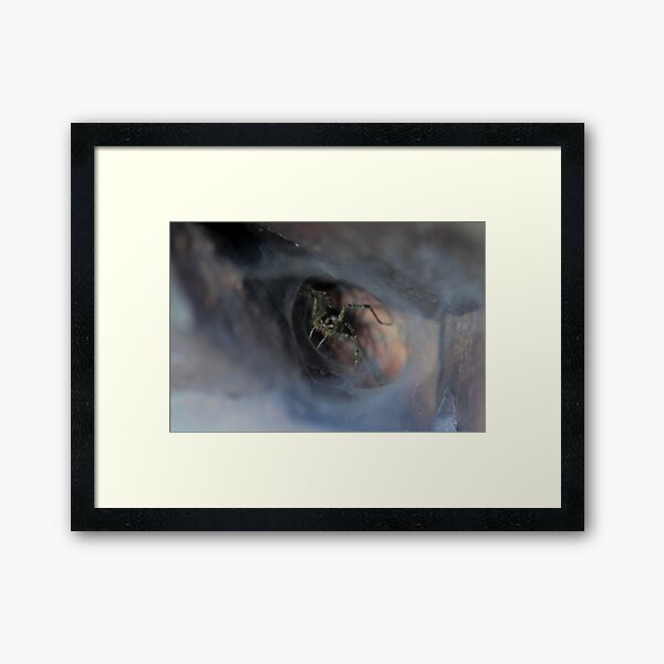 Item preview, Spider in Web Cave designed and sold by Gary Horner.