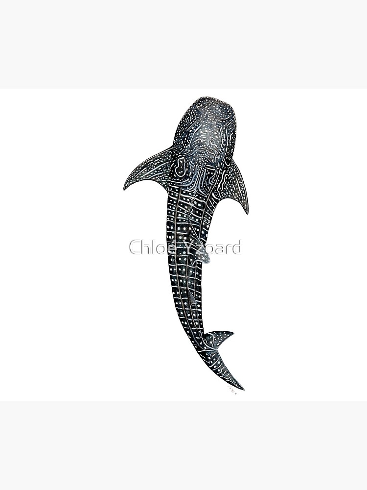 Whale shark for divers, shark lovers and fishermen by CHLOEYZOARD