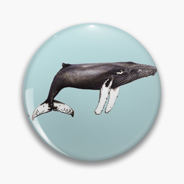 Item preview, The famous Humpback whale Notch from Cabo Verde designed and sold by chloeyzoard.