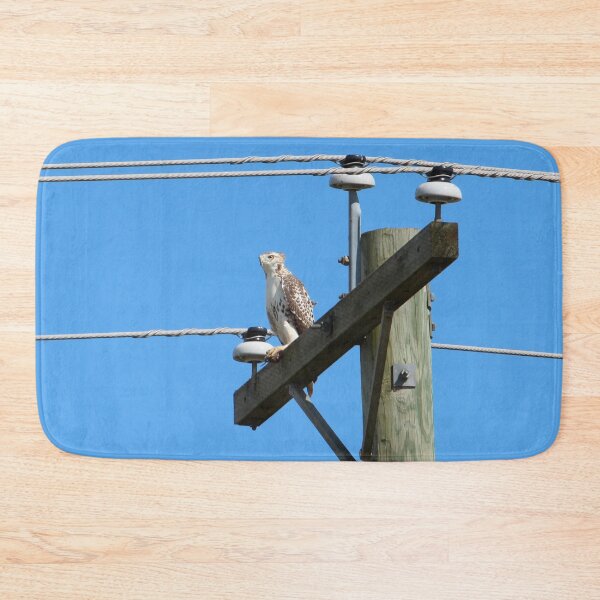 Item preview, Red Tailed Hawk on Telephone Pole 1 designed and sold by Susie Kramer.