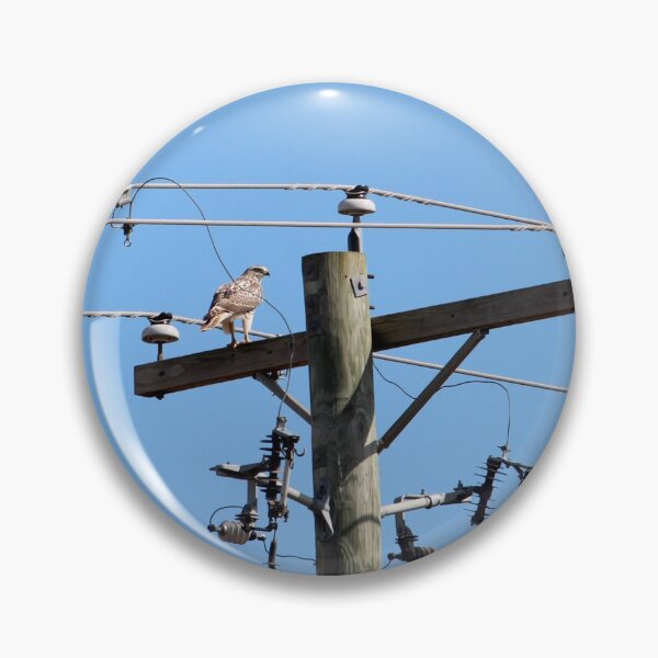 Item preview, Red Tailed Hawk on Telephone Pole 3 designed and sold by Susie Kramer.