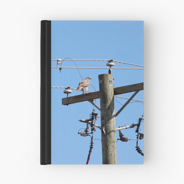 Item preview, Red Tailed Hawk on Telephone Pole 3 designed and sold by Susie Kramer.