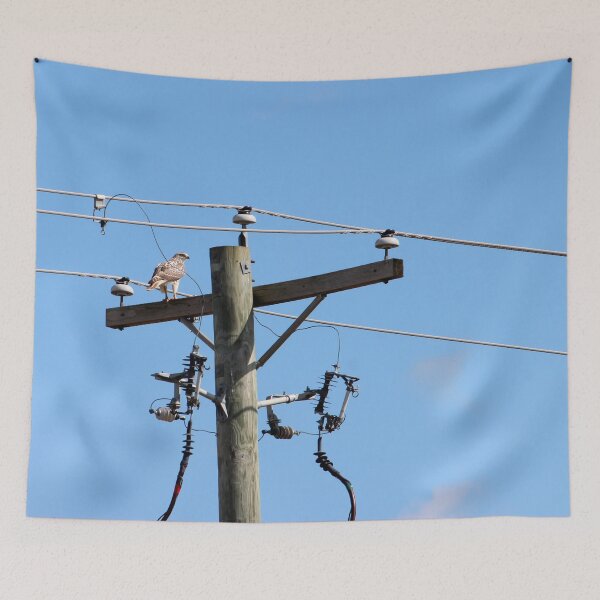 Item preview, Red Tailed Hawk on Telephone Pole 3 designed and sold by Susie Kramer.