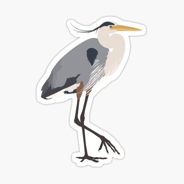 Item preview, Great Blue Heron - Ardea herodias designed and sold by Emma Pardini.