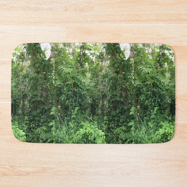Item preview, plants designed and sold by FONESAY.